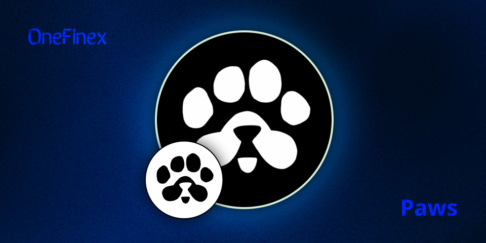 معرفی ارز دیجیتال پاز PAWS: فرصت‌ها و ریسک‌های احتمالی سرمایه‌گذاری