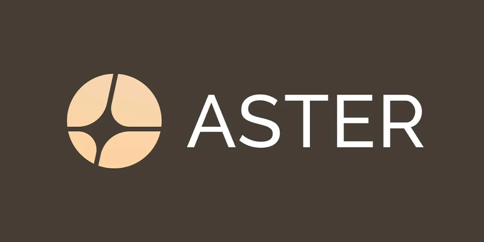 ارز دیجیتال استر (Aster) چیست؟ بررسی صرافی غیرمتمرکز Aster