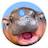 HIPPO